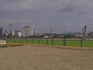 IMG_20111211_120652.jpg