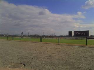 IMG_20111211_120709.jpg